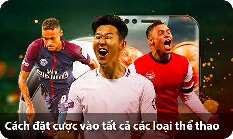 Cách đặt cược vào tất cả các loại thể thao